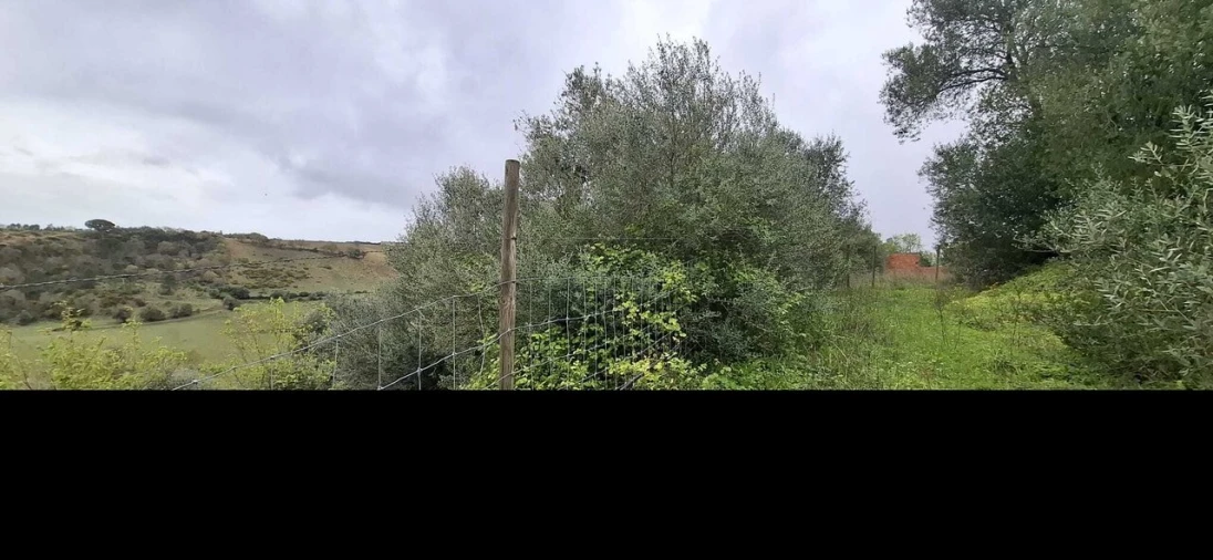 Terreno para Venda em Almoster Foto 2