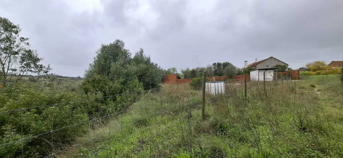 Terreno para Venda em Almoster Foto 5