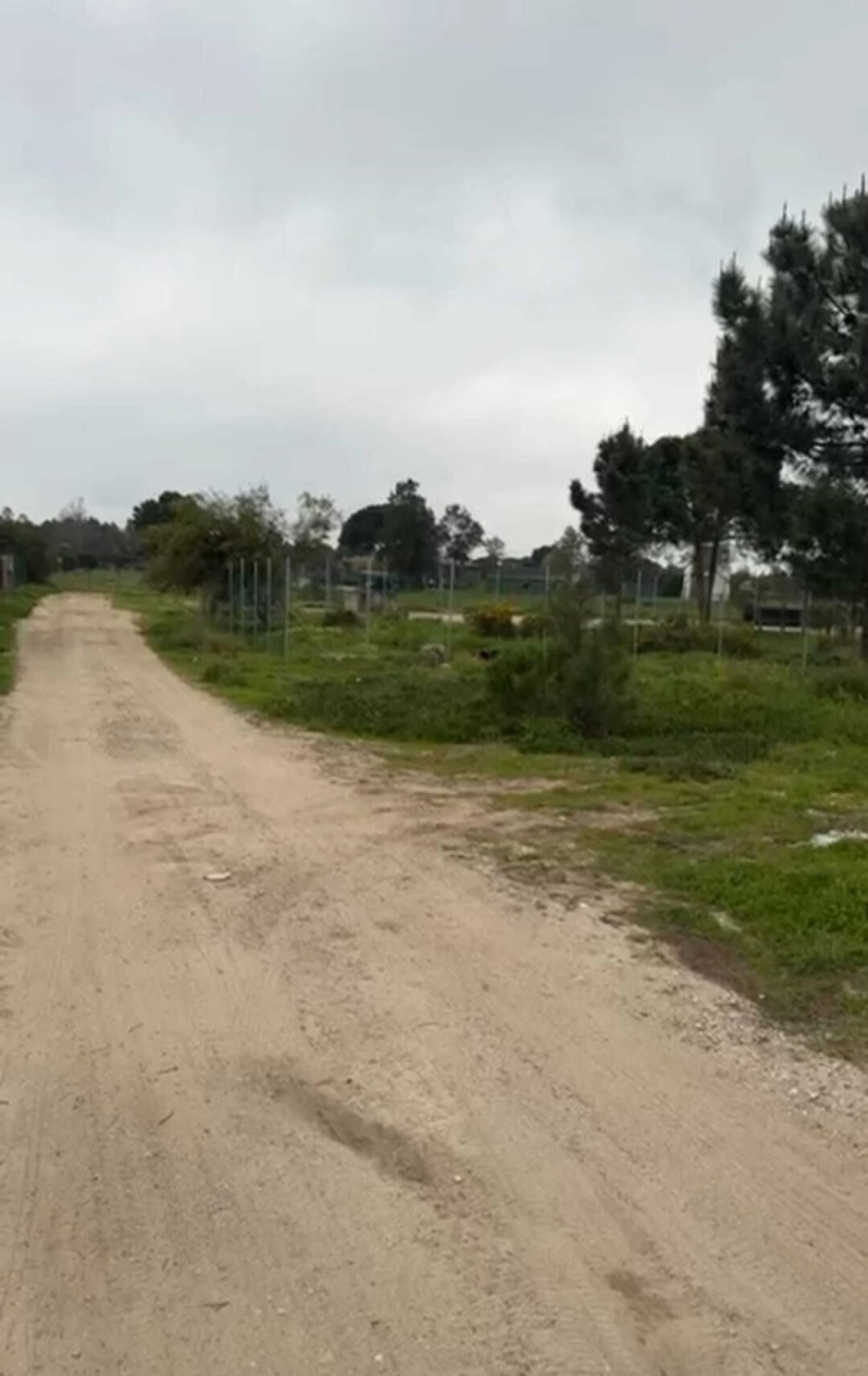 Terreno para Venda em Fernao Ferro Foto 3