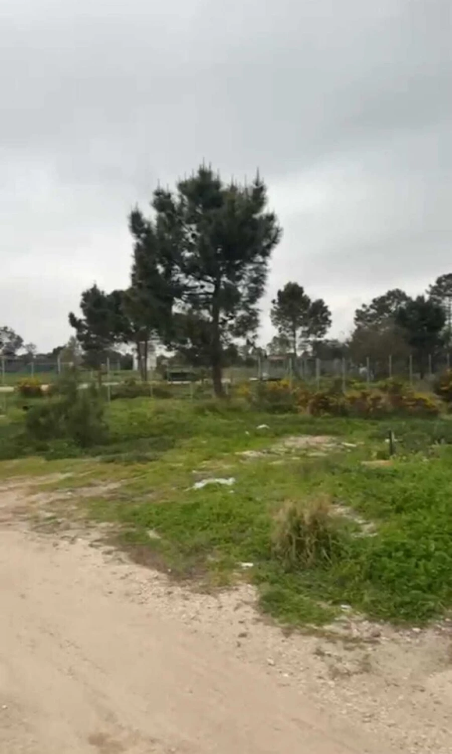 Terreno para Venda em Fernao Ferro Foto 2