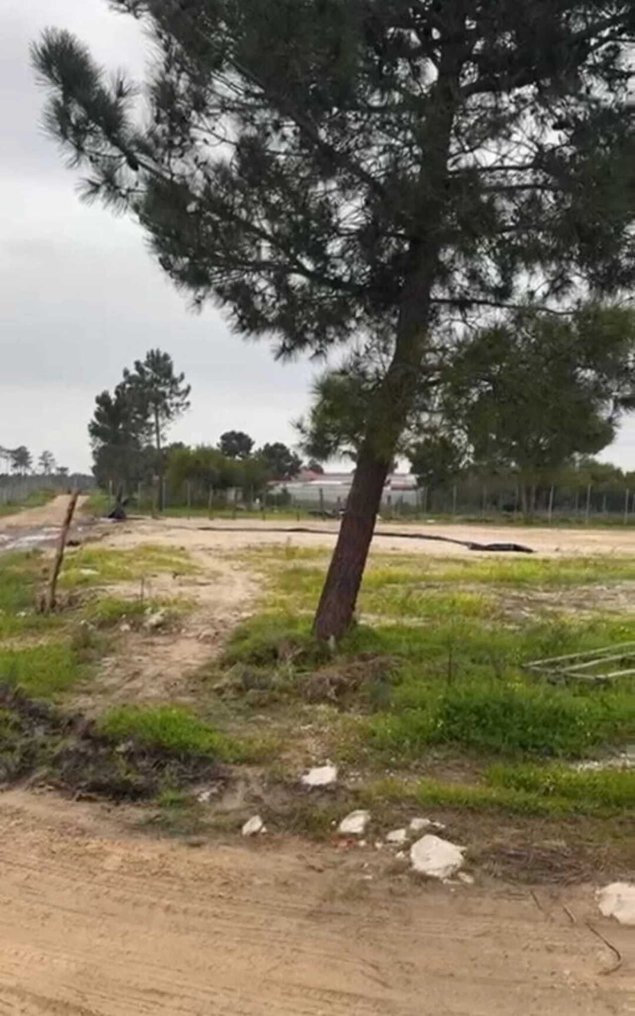 Terreno para Venda em Fernao Ferro Foto 2