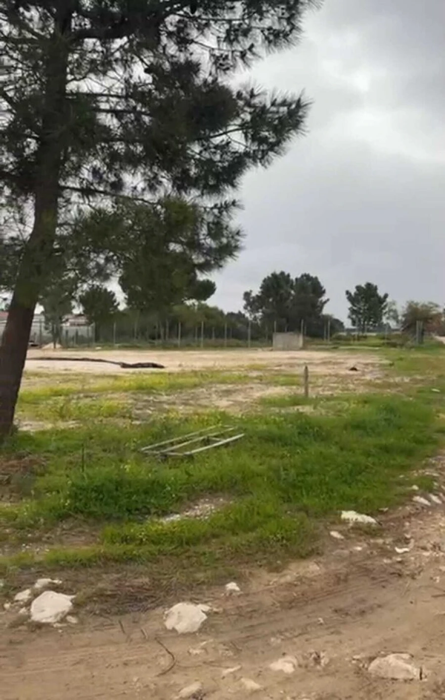 Terreno para Venda em Fernao Ferro