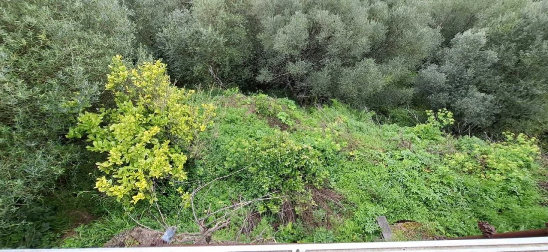 Moradia T2 para Venda em Almoster Foto 19