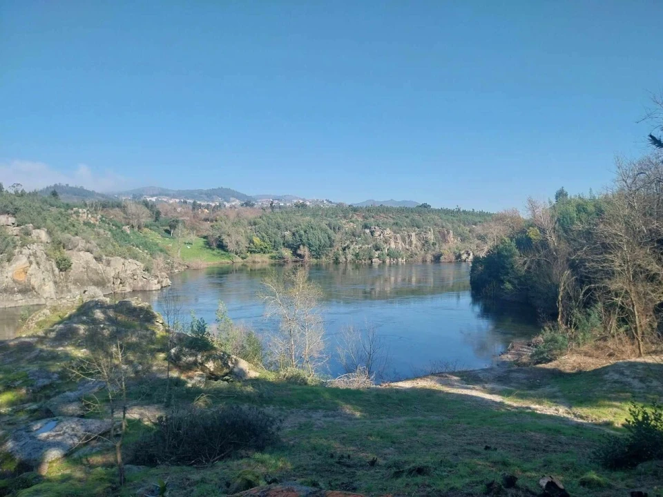 Terreno para Venda em Bela Foto 2