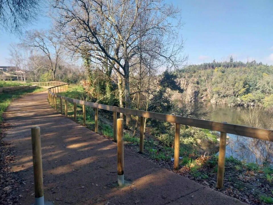 Terreno para Venda em Bela Foto 3