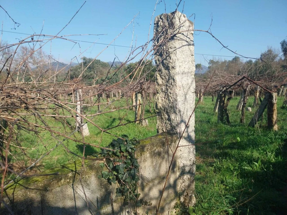 Terreno para Venda em Bela Foto 7