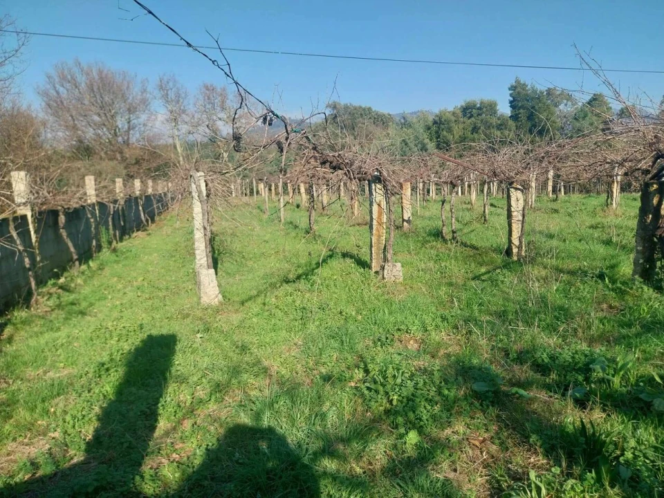 Terreno para Venda em Bela Foto 10