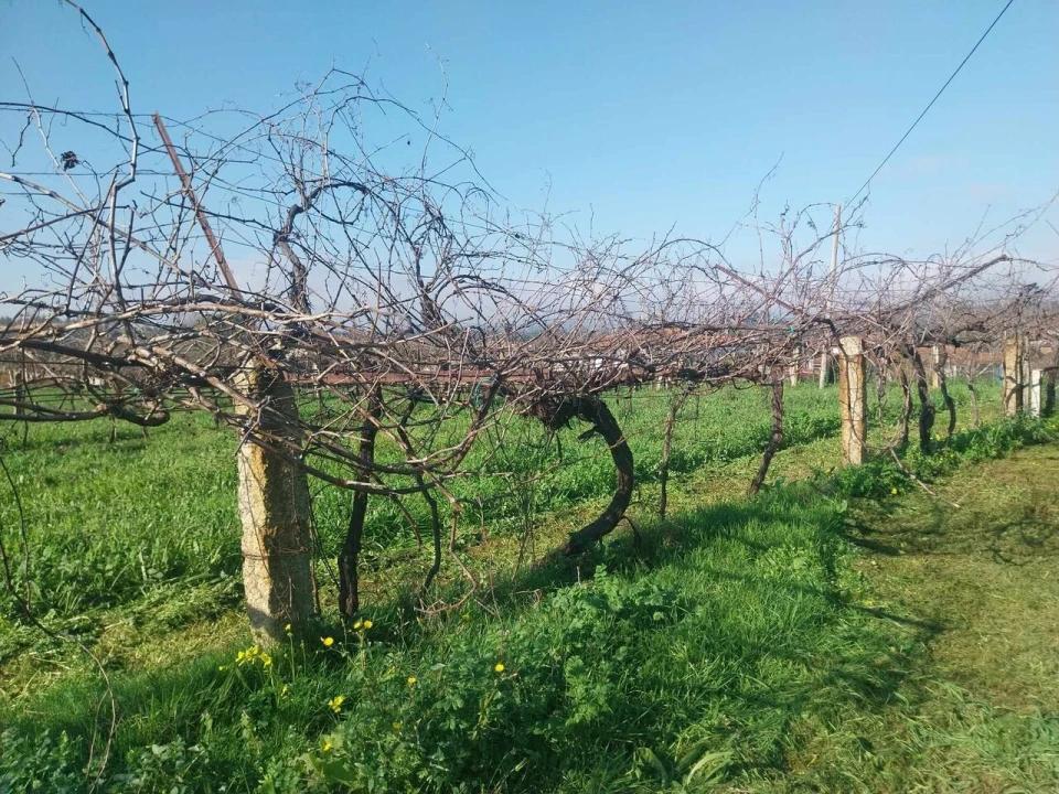 Terreno para Venda em Bela Foto 11
