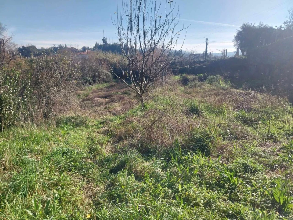 Terreno para Venda em Bela Foto 17