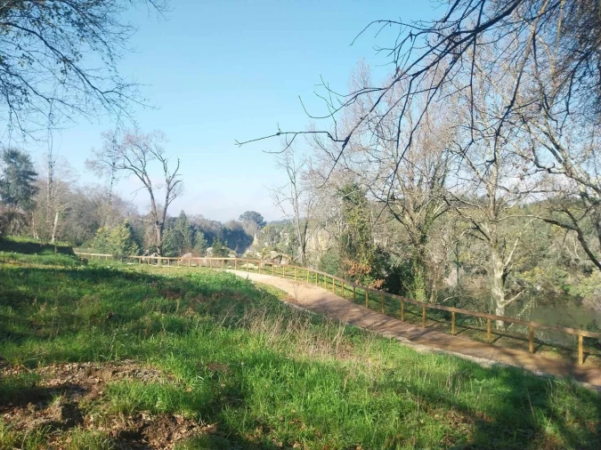 Terreno para Venda em Bela Foto 5