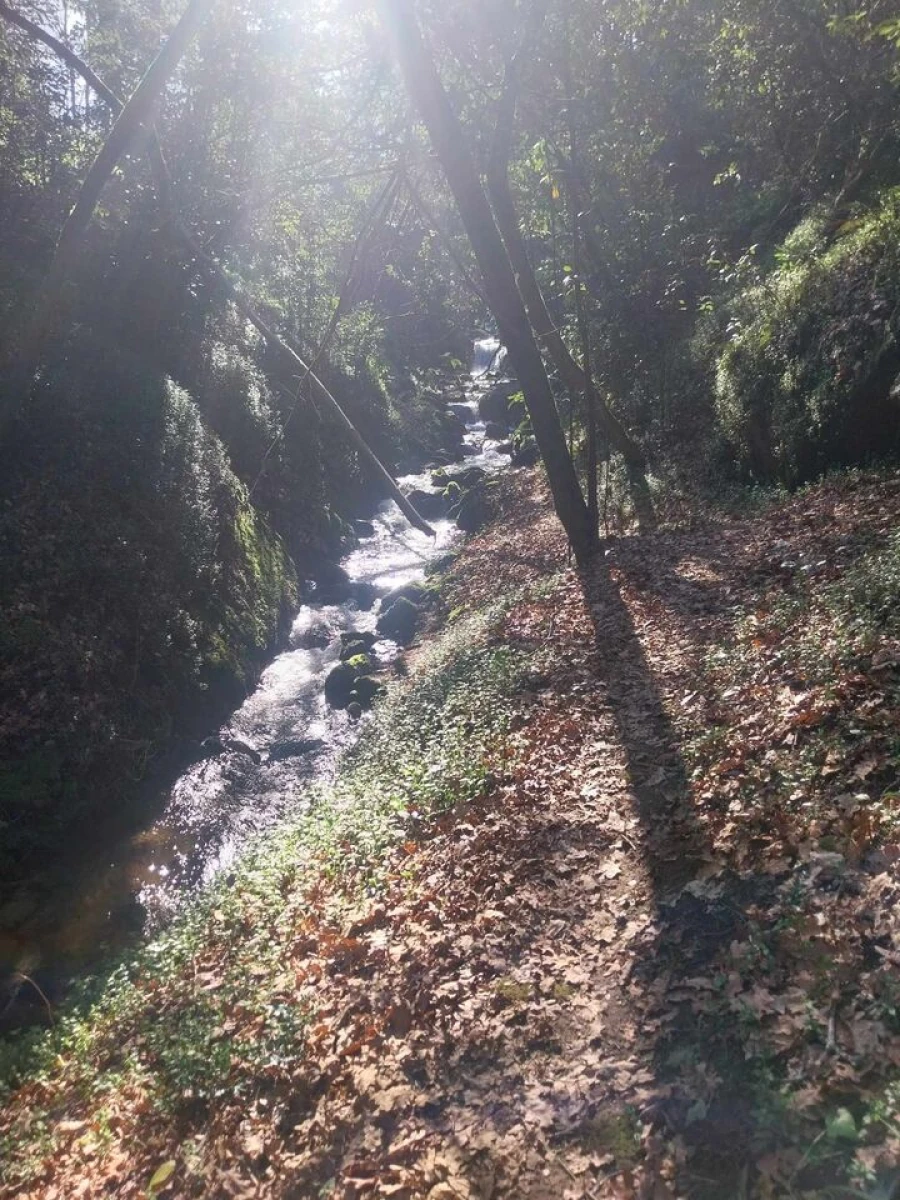 Terreno para Venda em Bela Foto 6