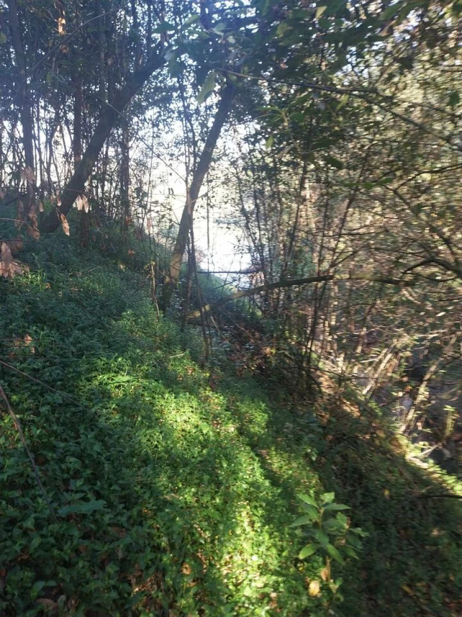 Terreno para Venda em Bela Foto 15