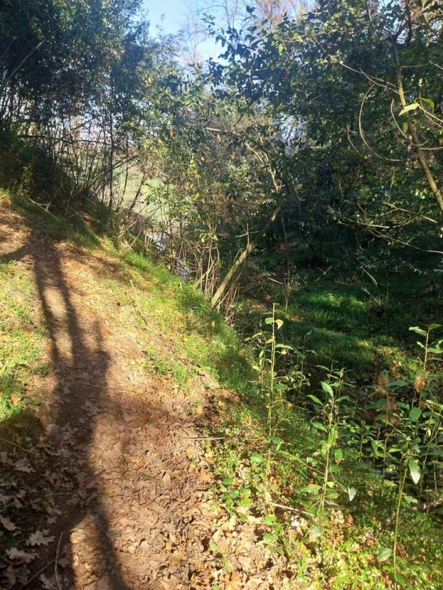 Terreno para Venda em Bela Foto 16