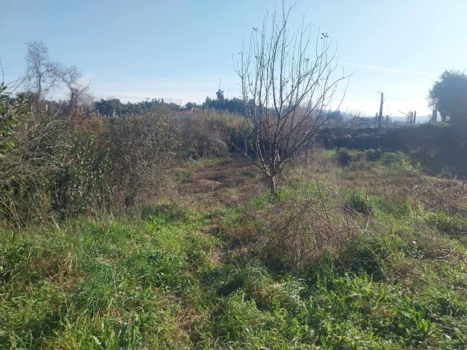 Terreno para Venda em Bela Foto 18