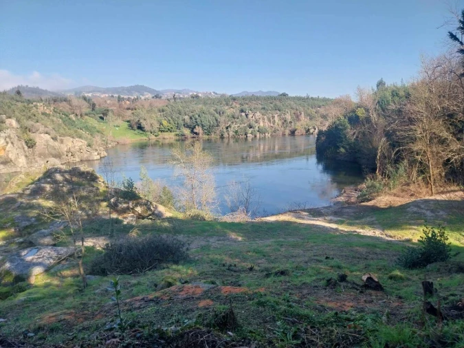 Terreno para Venda em Bela Foto 21
