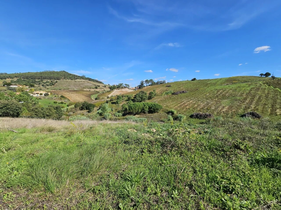 Terreno para Venda em Azueira e Sobral da Abelheira Foto 2