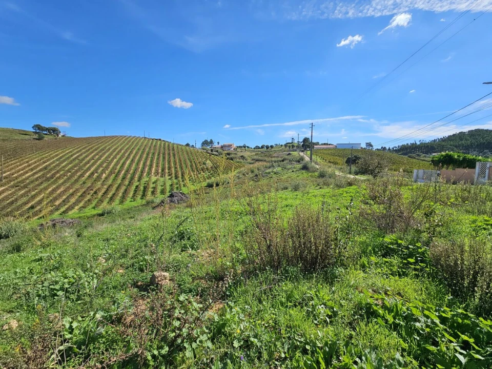 Terreno para Venda em Azueira e Sobral da Abelheira Foto 7