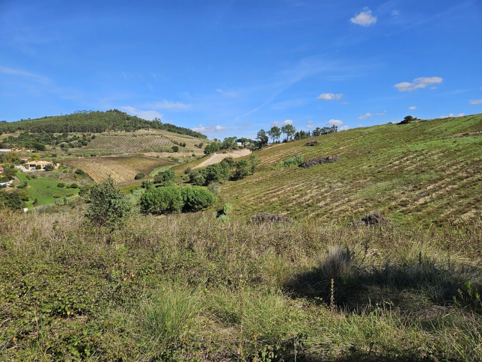 Terreno para Venda em Azueira e Sobral da Abelheira Foto 8