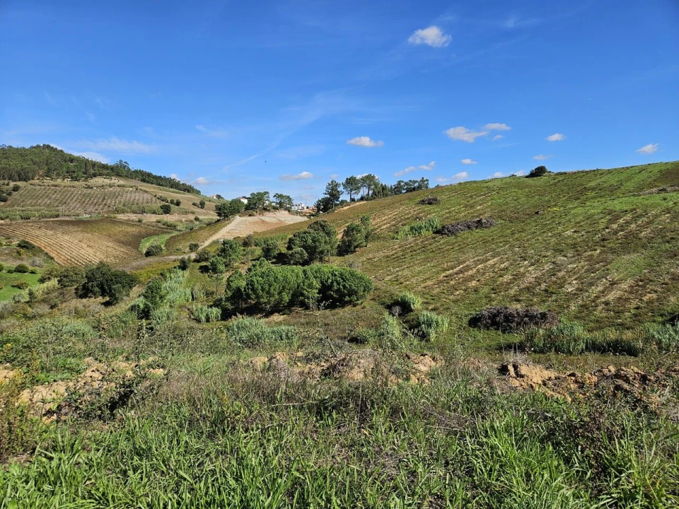 Terreno para Venda em Azueira e Sobral da Abelheira Foto 9