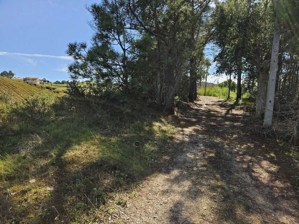 Terreno para Venda em Azueira e Sobral da Abelheira Foto 10