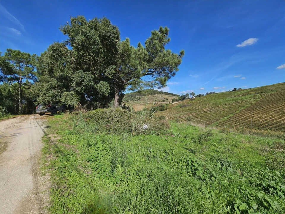 Terreno para Venda em Azueira e Sobral da Abelheira Foto 12