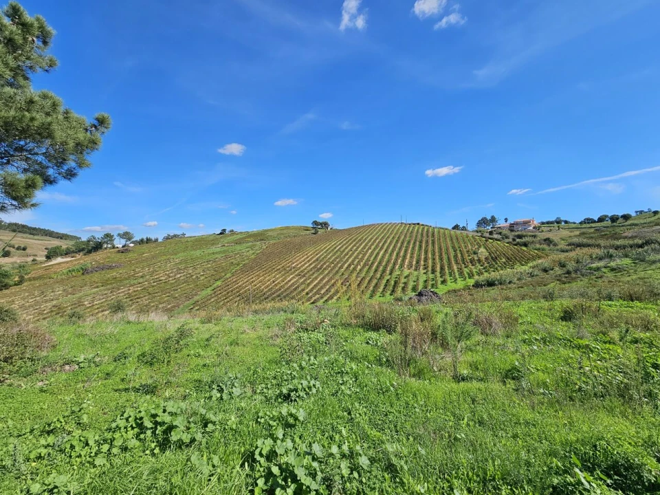Terreno para Venda em Azueira e Sobral da Abelheira Foto 13