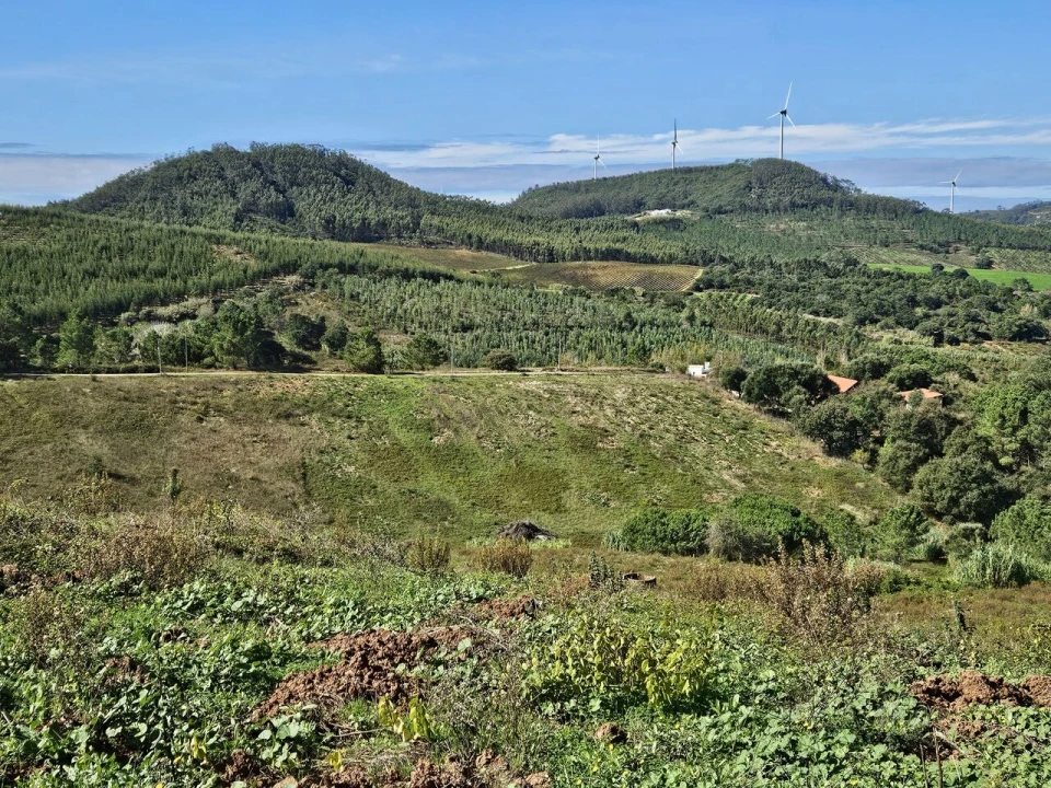Terreno para Venda em Azueira e Sobral da Abelheira Foto 18