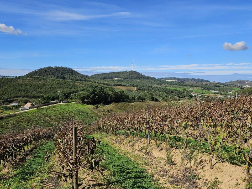 Terreno para Venda em Azueira e Sobral da Abelheira Foto 28