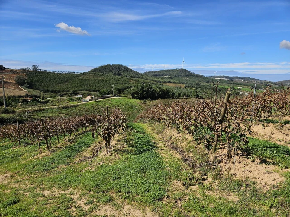 Terreno para Venda em Azueira e Sobral da Abelheira Foto 29