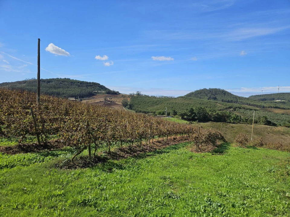 Terreno para Venda em Azueira e Sobral da Abelheira Foto 32