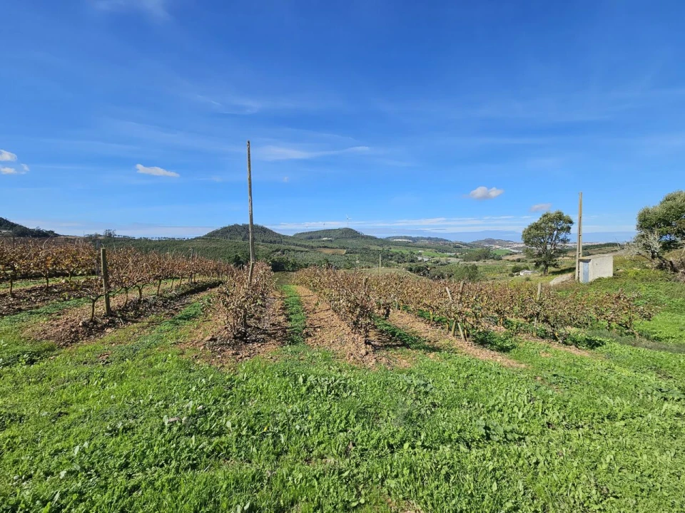 Terreno para Venda em Azueira e Sobral da Abelheira Foto 33
