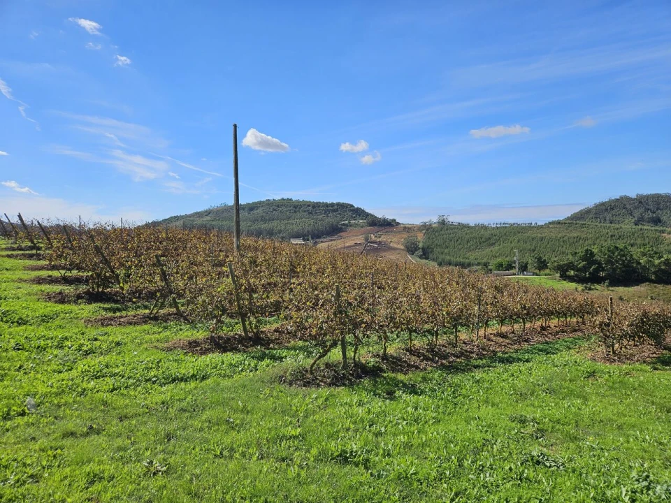 Terreno para Venda em Azueira e Sobral da Abelheira Foto 35