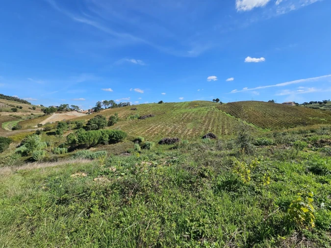 Terreno para Venda em Azueira e Sobral da Abelheira Foto 4