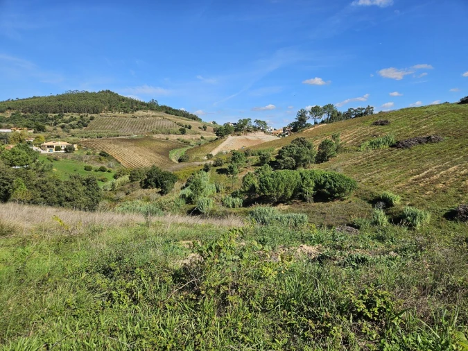 Terreno para Venda em Azueira e Sobral da Abelheira Foto 6