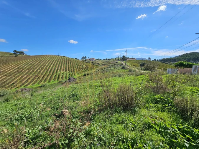 Terreno para Venda em Azueira e Sobral da Abelheira Foto 7