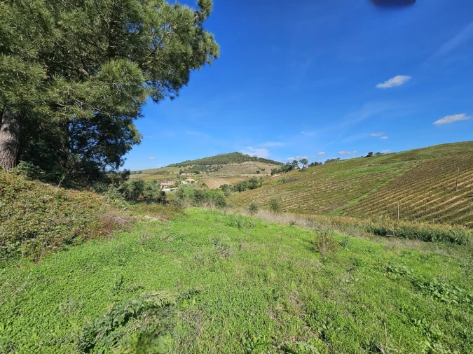 Terreno para Venda em Azueira e Sobral da Abelheira Foto 11
