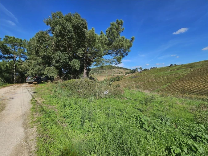 Terreno para Venda em Azueira e Sobral da Abelheira Foto 12