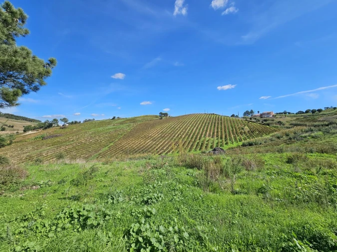 Terreno para Venda em Azueira e Sobral da Abelheira Foto 13