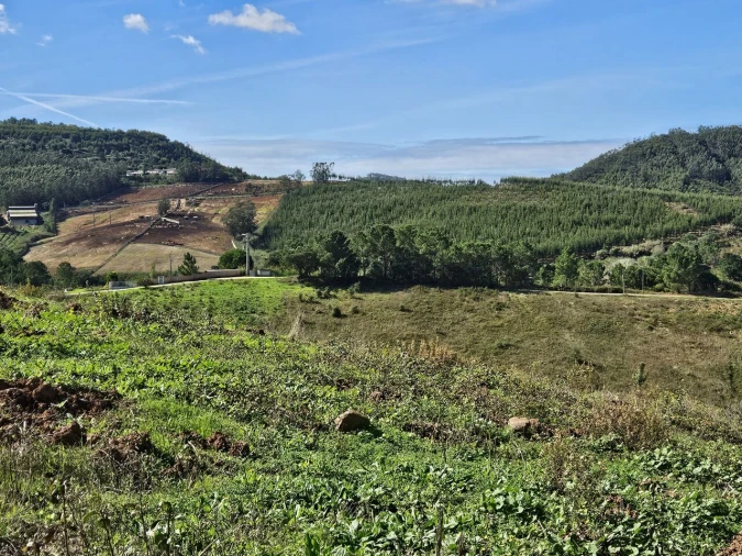 Terreno para Venda em Azueira e Sobral da Abelheira Foto 14