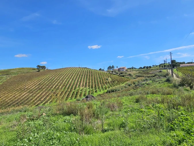 Terreno para Venda em Azueira e Sobral da Abelheira Foto 16