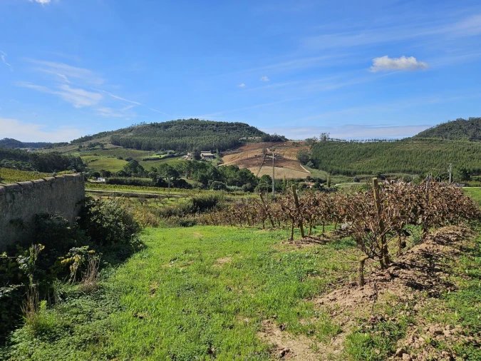 Terreno para Venda em Azueira e Sobral da Abelheira Foto 25