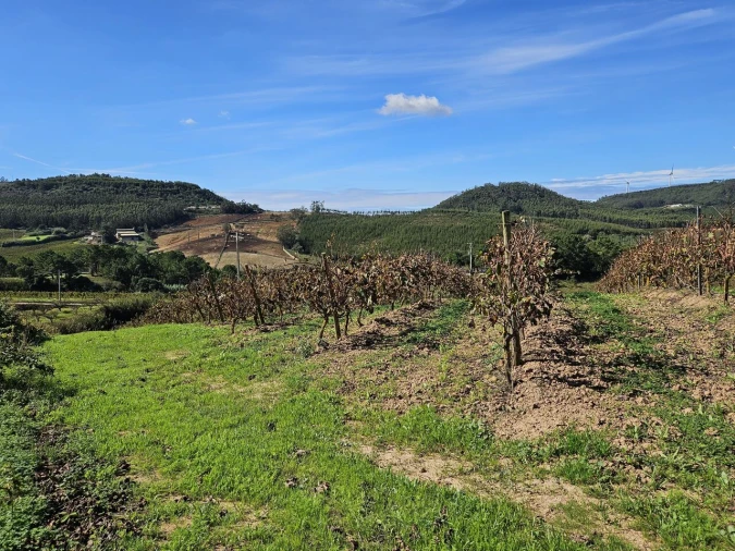 Terreno para Venda em Azueira e Sobral da Abelheira Foto 26