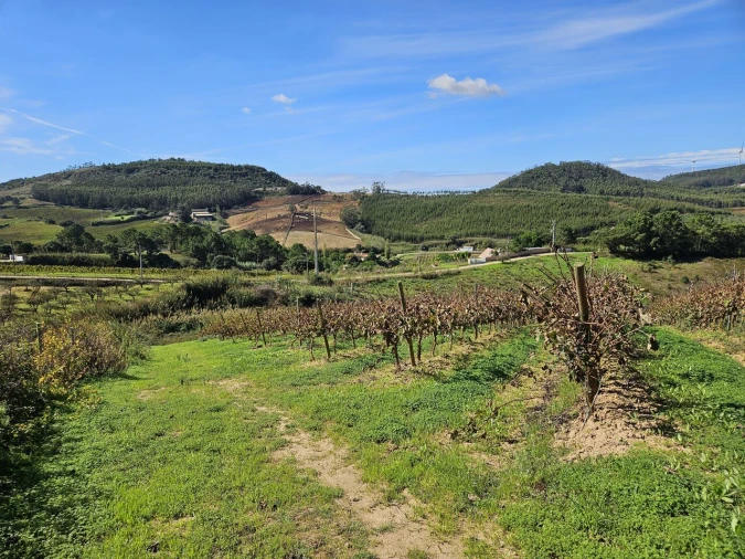 Terreno para Venda em Azueira e Sobral da Abelheira Foto 27