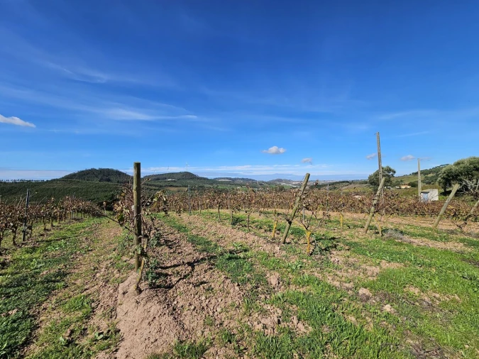 Terreno para Venda em Azueira e Sobral da Abelheira Foto 30