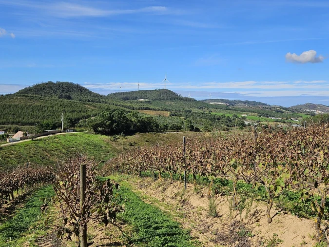 Terreno para Venda em Azueira e Sobral da Abelheira Foto 31