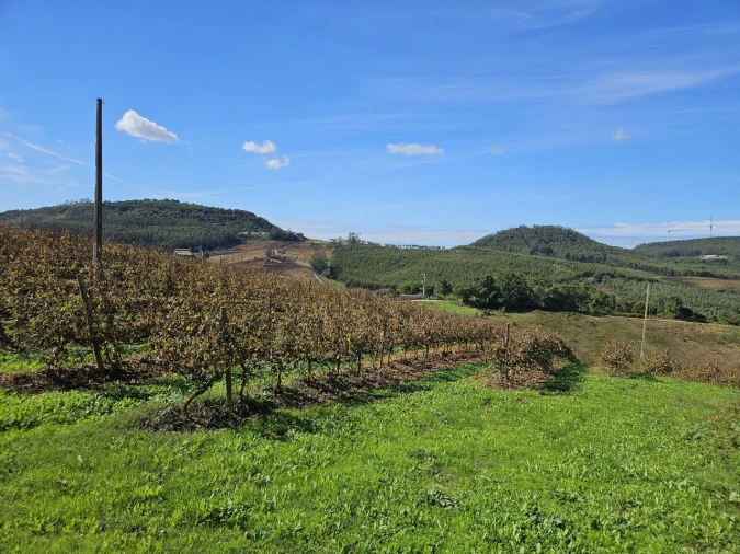 Terreno para Venda em Azueira e Sobral da Abelheira Foto 32