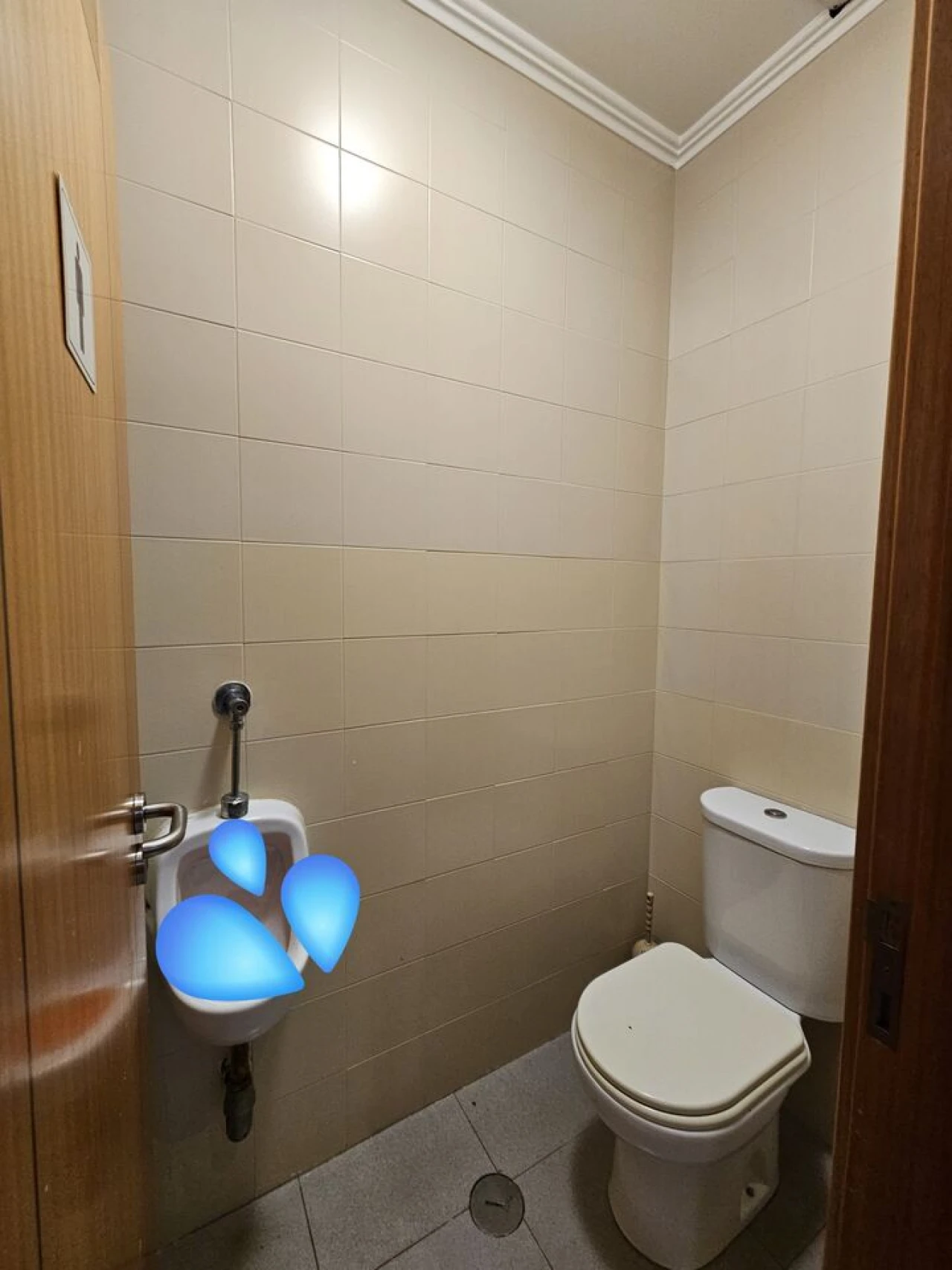 Loja para Venda em Santo Isidoro Foto 14