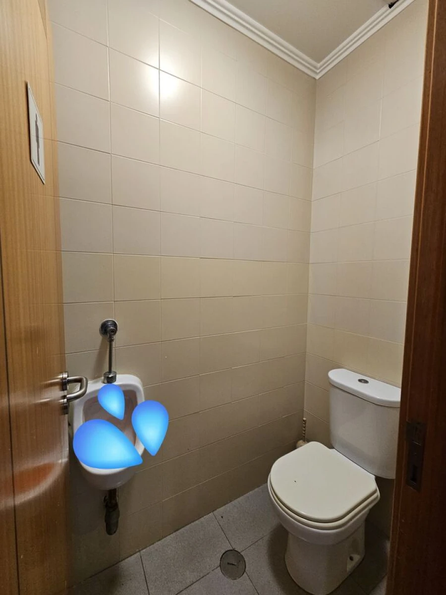 Loja para Venda em Santo Isidoro Foto 14