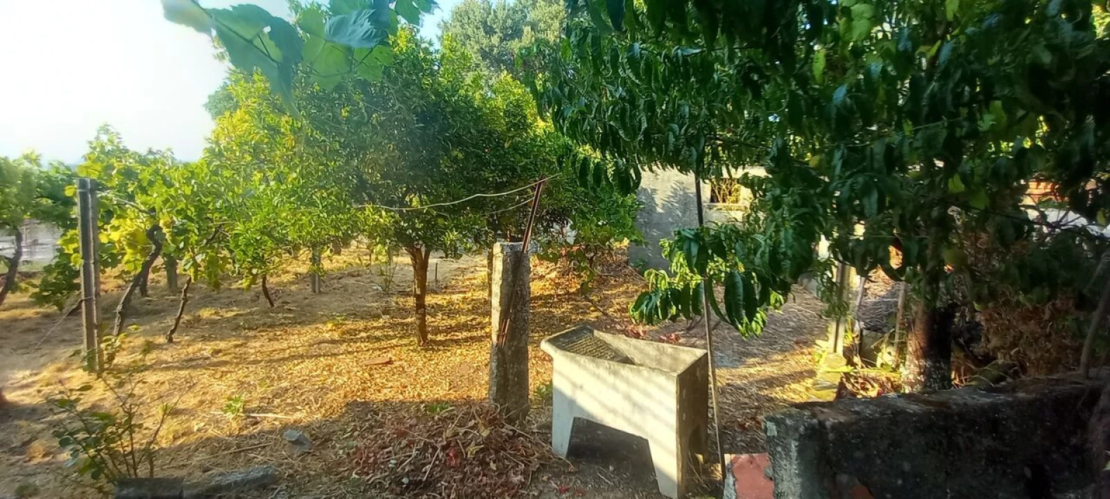 Moradia T3 para Venda em Bela Foto 3