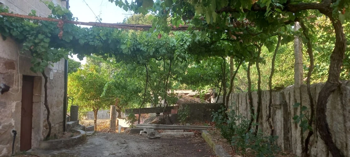 Moradia T3 para Venda em Bela Foto 4